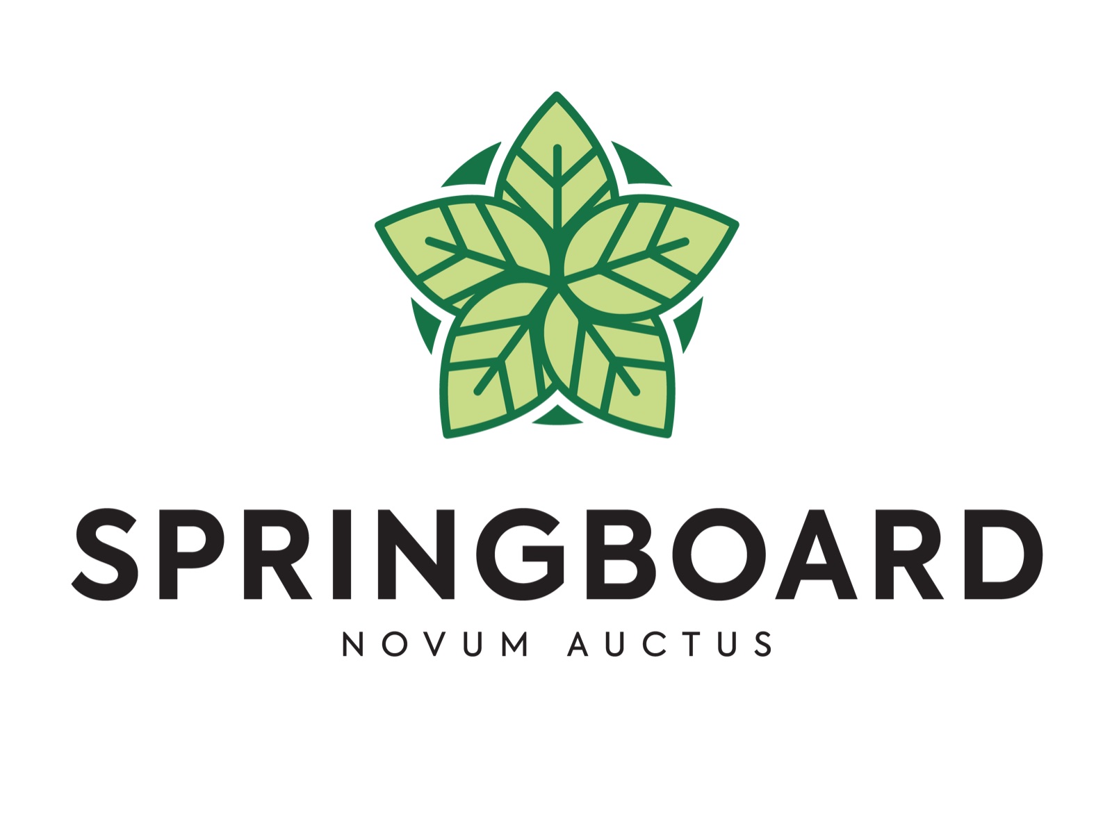 Springboard — Novum Auctus